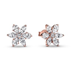 Pandora Sparkling Herbarium Cluster Stud Earrings Pandora Sparkling Herbarium Cluster Stud Earrings
