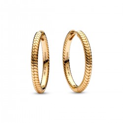 Pandora Moments Charm Hoop Earrings Pandora Moments Charm Hoop Earrings