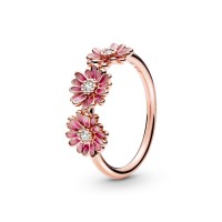 Statement Rings