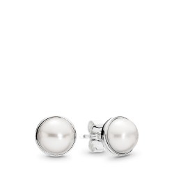 Pandora Elegant Beauty Stud Earrings