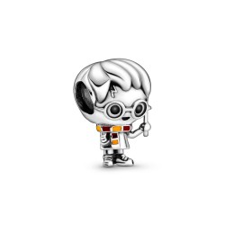 Pandora Harry Potter, Harry Potter Charm
