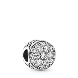 Pandora Radiant Bloom Charm