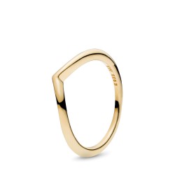 Pandora Shining Wish Ring