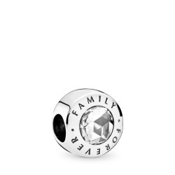 Pandora Family Forever Charm