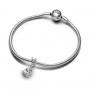 Pandora Rose in Bloom Dangle Charm