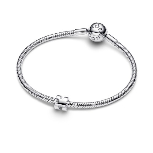 Pandora Puzzle Piece Mini Charm