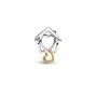 Pandora Home & Heart Charm Pandora Home & Heart Charm