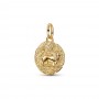 Pandora Lion Medallion Charm Pandora Lion Medallion Charm