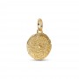 Pandora Lion Medallion Charm Pandora Lion Medallion Charm