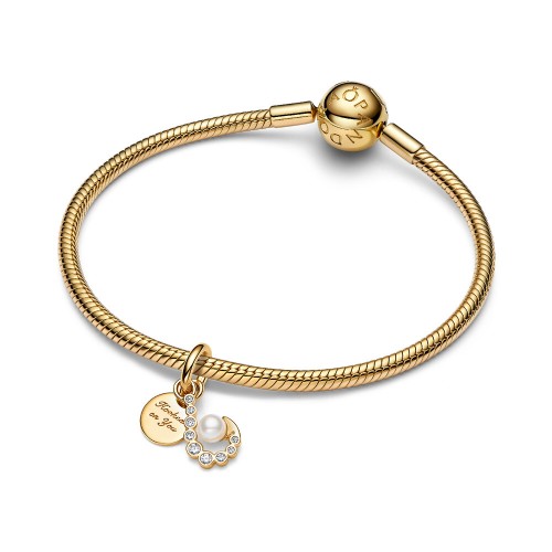 Pandora Hook Double Dangle Charm Pandora Hook Double Dangle Charm
