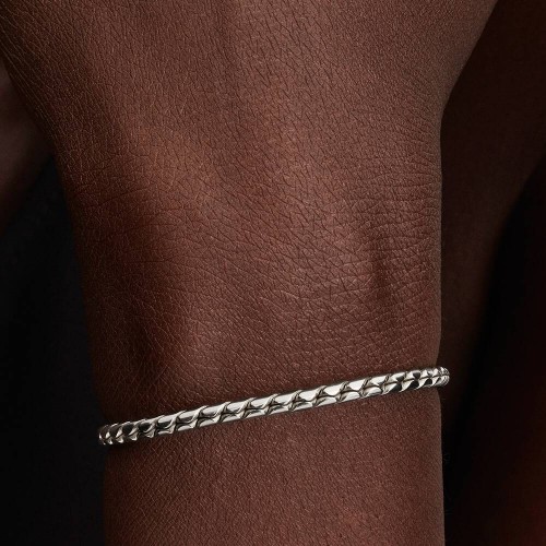 Pandora Round Clasp Wing Chain Bracelet Pandora Round Clasp Wing Chain Bracelet