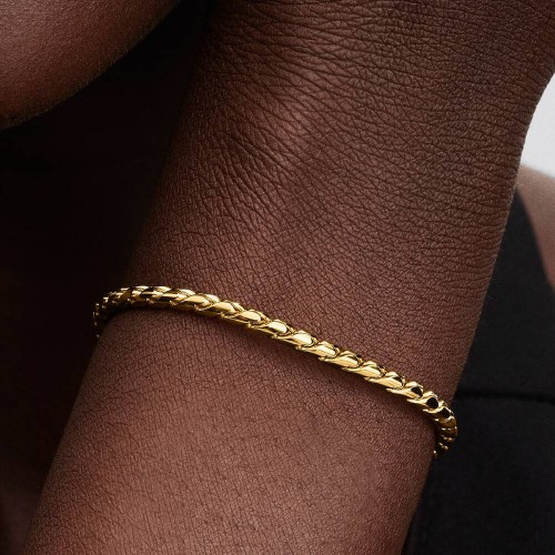 Pandora Round Clasp Wing Chain Bracelet Pandora Round Clasp Wing Chain Bracelet