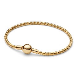 Pandora Round Clasp Wing Chain Bracelet Pandora Round Clasp Wing Chain Bracelet