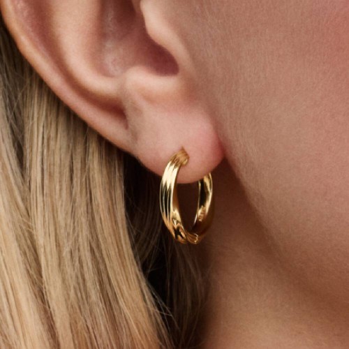 Pandora Twisted Hoop Earrings Pandora Twisted Hoop Earrings